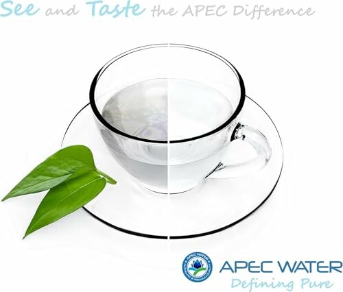 Comparison of clear and cloudy water in a cup with leaves.